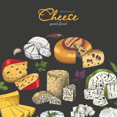 Vektör arka plan peynir kroki tarzı ile. Vektör çizim tasarımınız için
