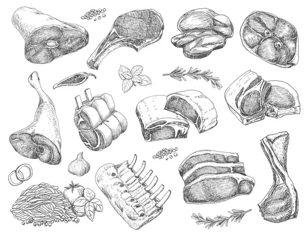 スケッチ スタイルの異なる肉のベクトルを設定します あなたのデザインのベクトル図 — ストックベクタ