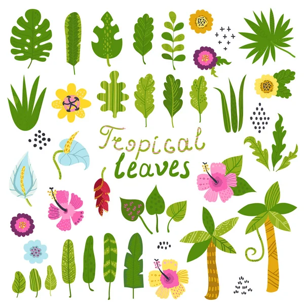 Vector set of tropical leaves and flowers — Stock Vector