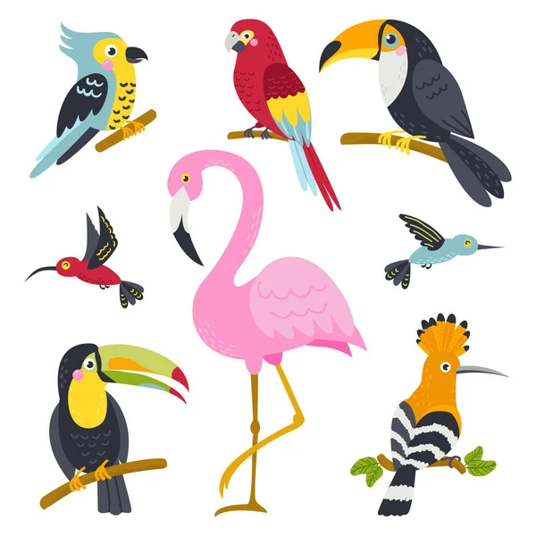 Conjunto vectorial de lindos pájaros de la selva — Vector de stock
