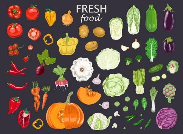 Gran juego de verduras de colores . — Vector de stock