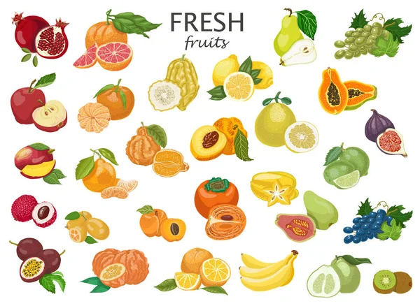 Gran conjunto de frutas de colores . — Vector de stock