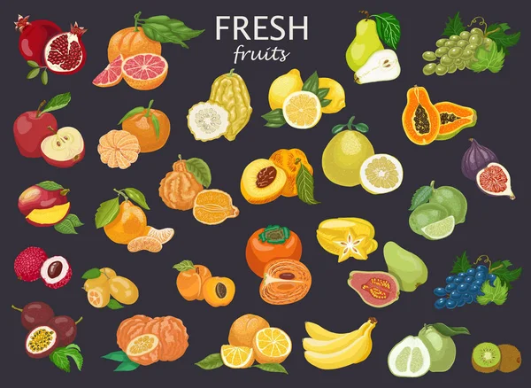 Grand ensemble de fruits colorés . — Image vectorielle