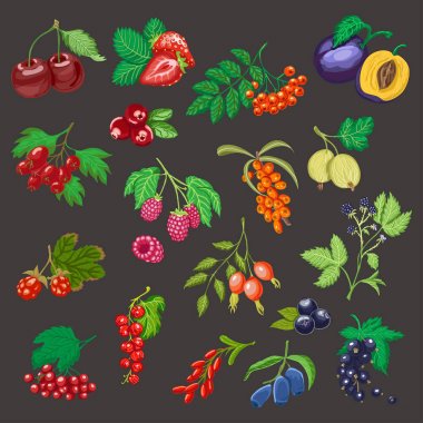 Renkli çilek büyük set.