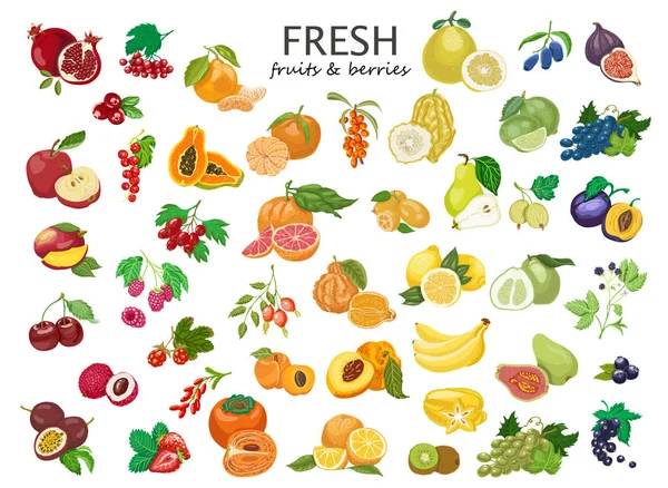 Gran juego de frutas y bayas de colores . — Vector de stock