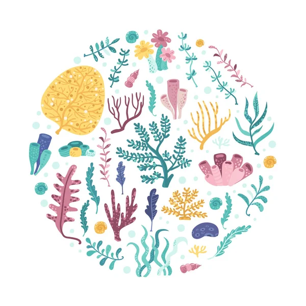 Alga marina in cerchio — Vettoriale Stock