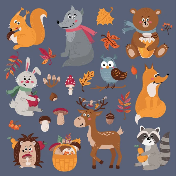 Set von niedlichen Waldtieren im Cartoon-Stil — Stockvektor