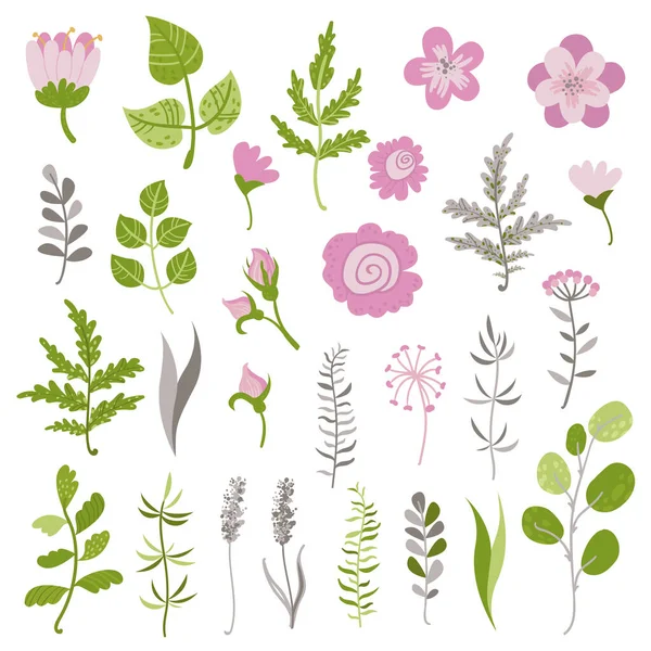 Conjunto de flores y ramitas — Archivo Imágenes Vectoriales