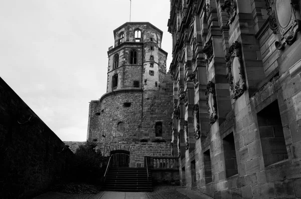 Vintage view of a castle, black and white