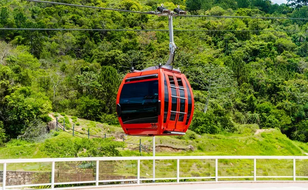 Sky safari cable car taronga zoo cable car sydney australia Stock