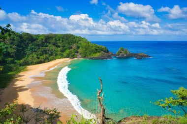 Plaj, görünümü, woods, yeşil, bulutlar, deniz, mavi