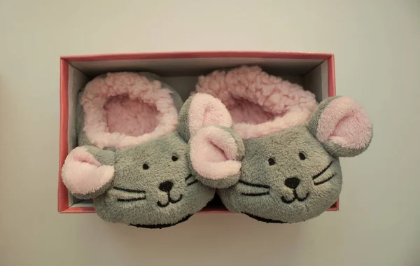 Pantofle Myszy Shoebox — Zdjęcie stockowe