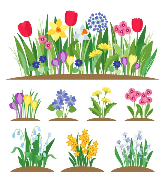 Flores de jardín de primavera. Hierba y planta. Vector de floración de primavera — Vector de stock