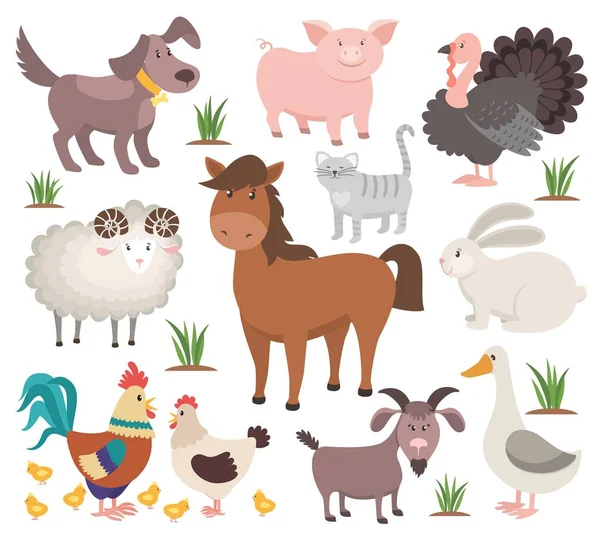 Cartoon landbouwhuisdieren. Turkije kat ram geit kip konijn paard. Dorp dieren collectie — Stockvector