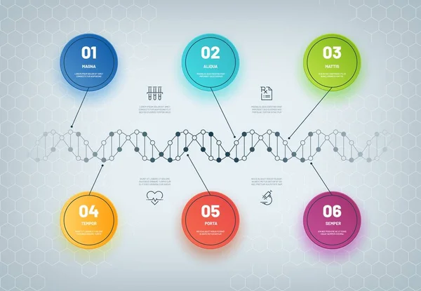 Infografía del ADN. Diagrama de cadena molecular, infografía de pasos médicos, flujo de trabajo empresarial. Modelo genético concepto abstracto — Vector de stock