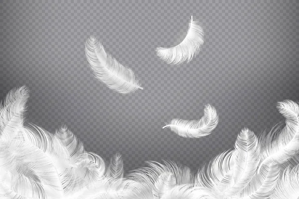 Fondo de plumas blancas. Plumas de primer plano de pájaro o ángel. Caída de plumas sin peso. Ilustración de sueño — Vector de stock