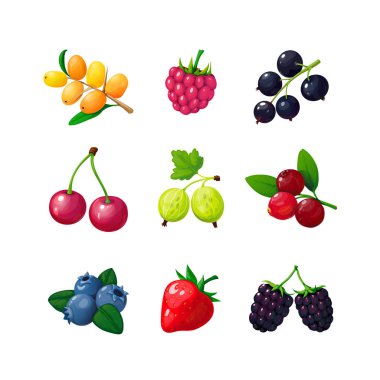 Çizgi film çilek. Çilekli ahududulu vişne blueberry Bektaşi üzümü blackberry topalak. İzole karikatür berry vektör