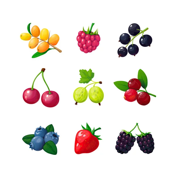 Bagas de desenhos animados. Morango framboesa cereja mirtilo groselha espinheiro amora. Desenhos animados vetor berry isolado —  Vetores de Stock