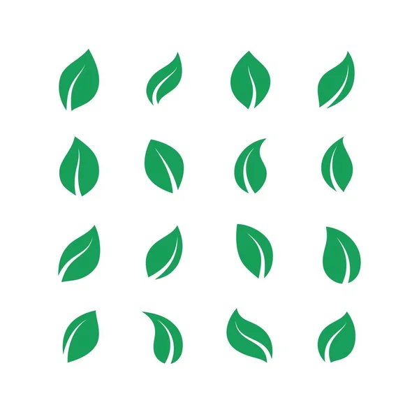 Conjunto de hojas planas. Hoja de bosque simple verde, conjunto de plantas veganas a base de hierbas, etiquetas de energía fresca ecológica. Vector hojas verdes de granja — Archivo Imágenes Vectoriales
