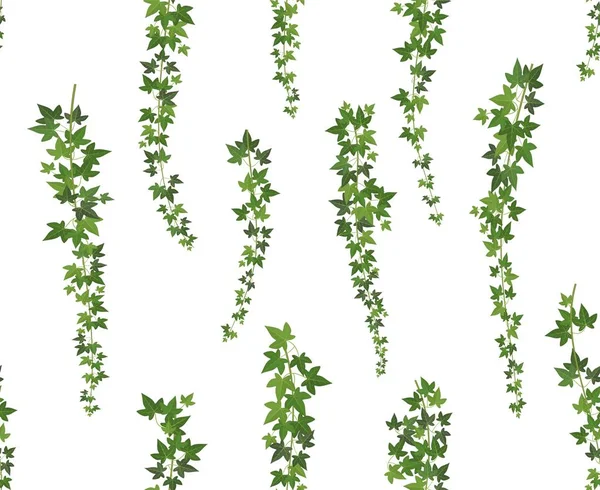 Ranka grön murgröna. Vägg klängväxt hängande från ovan. Trädgård dekoration ivy vinstockar. Sömlös bakgrund illustration — Stock vektor