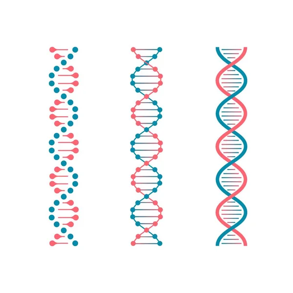 Code chimique ADN. Double code génétique de la molécule humaine. Biotechnologie futur vecteur — Image vectorielle