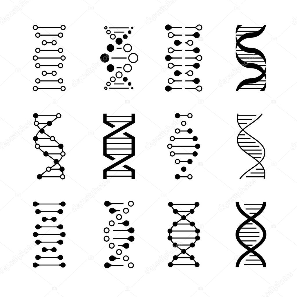DNA icons. Genetic structure code, DNA molecule models isolated on white background. Genetic vector symbols