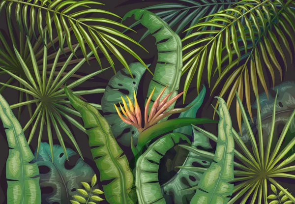 La palma deja fondo. Selva tropical de verano, volante de plantas exóticas, cartel verde del bosque exótico. Vector vintage selva fondo de pantalla — Archivo Imágenes Vectoriales