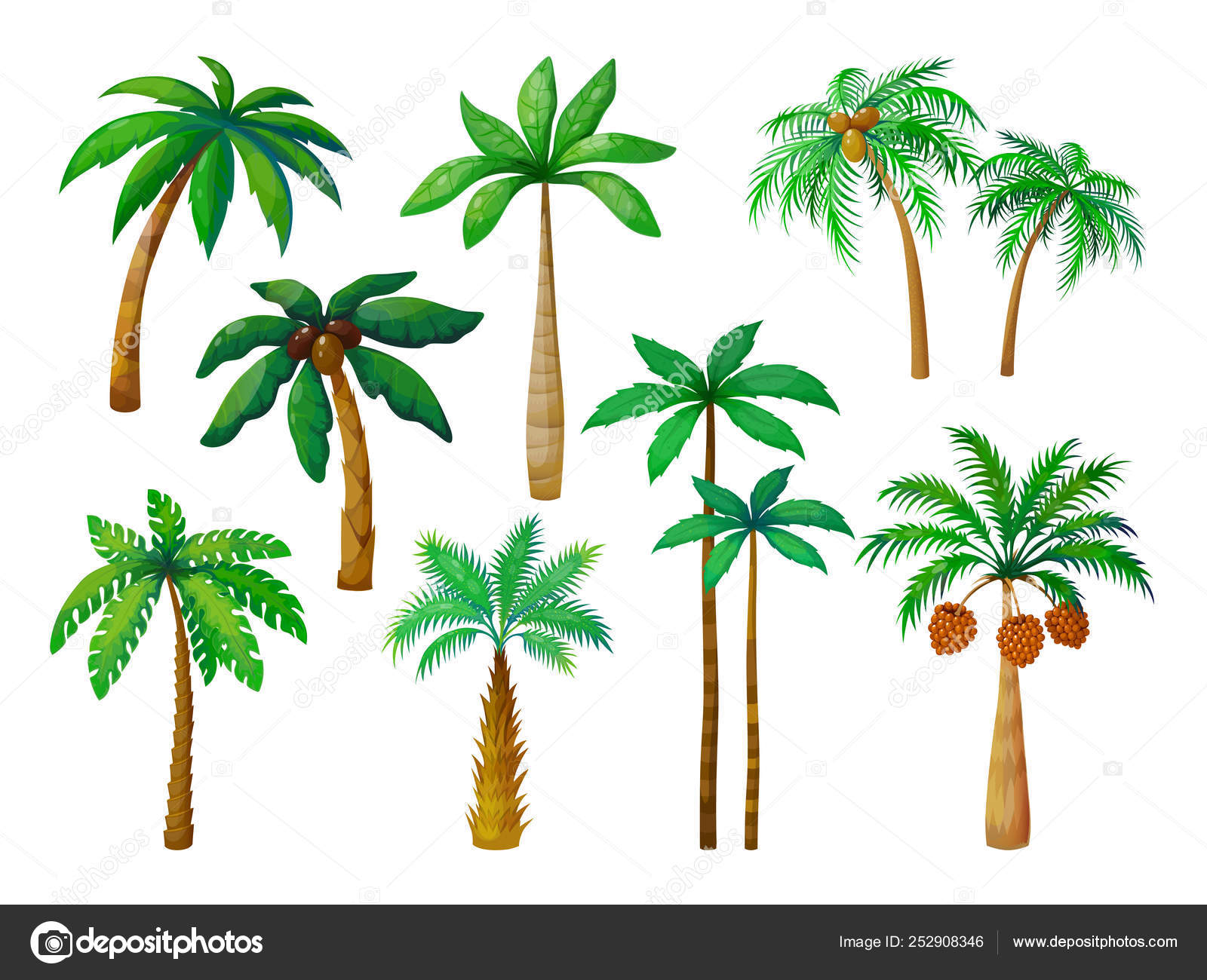漫画ヤシの木。ジャングル緑の葉を持つヤシの木、ココナッツ ビーチやし分離ベクトル ストックベクター ©SpicyTruffel 252908346, image size:1600x1300
