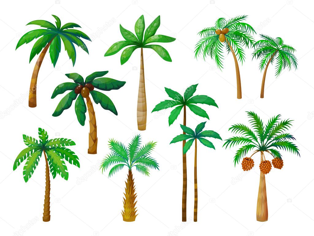Cartoon palm tree. Jungle palm trees with green leaves, coconut beach palms isolated vector