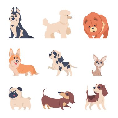 Çizgi film köpekler. Av köpeği labrador husky yavrusu, düz mutlu hayvanlar izole Ev hayvanlar beyaz arka plan üzerinde ayarlayın. Vektör köpek