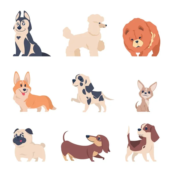 Rajzfilm kutya. Vizsla, labrador husky kölykök, lapos boldog háziállatok készlet, elszigetelt házi állatok, fehér háttér. Vektor kutya — Stock Vector