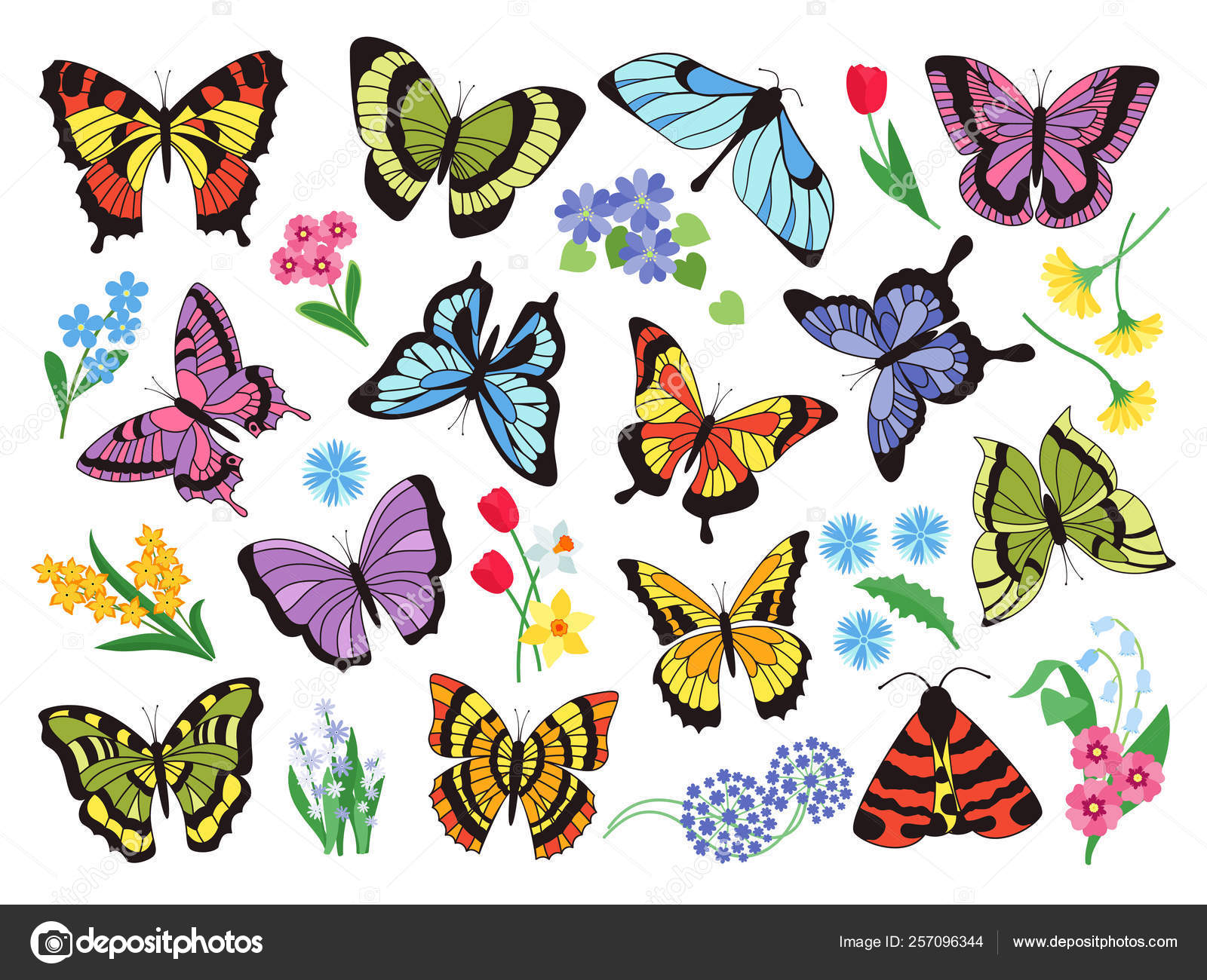 彩色蝴蝶。手绘简单的蝴蝶和花的收集，在白色背景上隔离。矢量图形集合图库矢量图©SpicyTruffel 257096344, image size:1600x1300