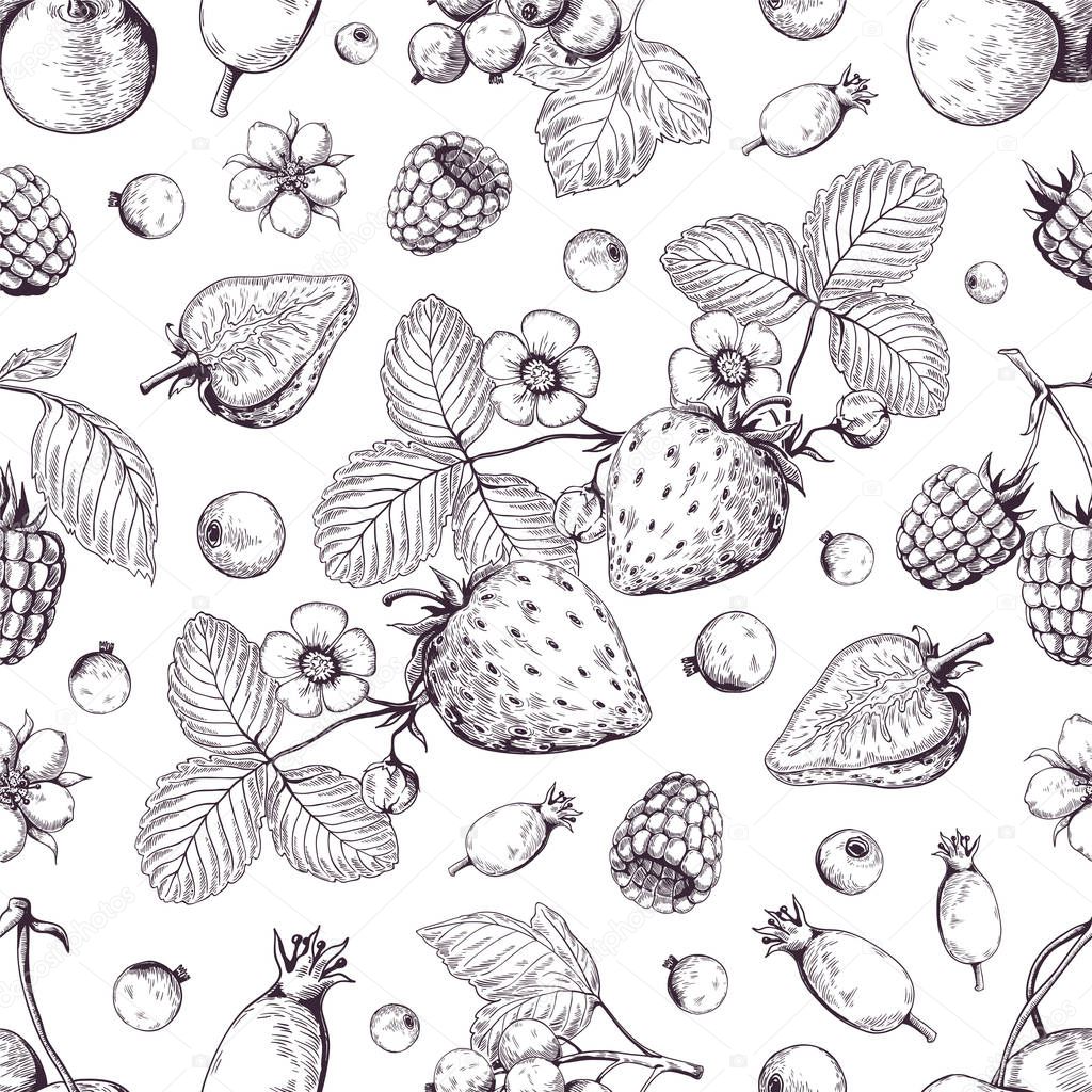 Hand drawn berries pattern. Vintage forest cherry strawberry blackberry cranberry sketch drawing. Vector dessert menu background