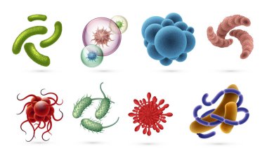 Gerçekçi virüsler. Mikroplar ve enfeksiyon bakteri hücreleri, mikrobiyoloji nesneleri mikroskop beyaz izole görünür. Vektör bacillus