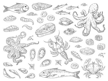 Hand drawn seafood. Octopus squid crab oyster and marine fish sketch drawing for restaurant menu. Vector sea meal clipart