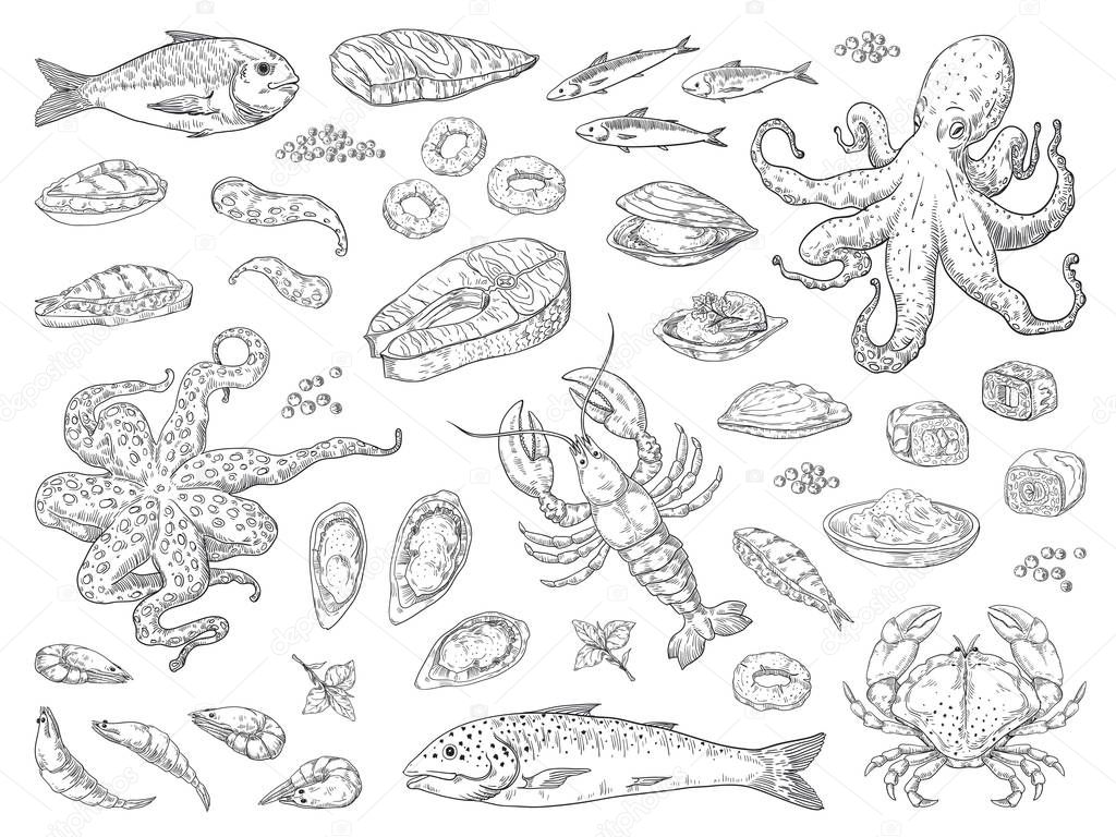 Hand drawn seafood. Octopus squid crab oyster and marine fish sketch drawing for restaurant menu. Vector sea meal