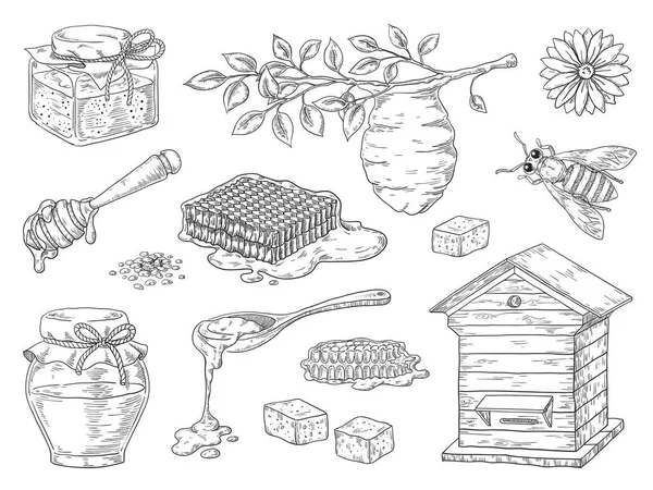 Elle çizilmiş bal. Vintage arı petek ve bal kavanoz skeç elemanları, doodle çiçek ve balmumu. Vektör organik bal ürünü