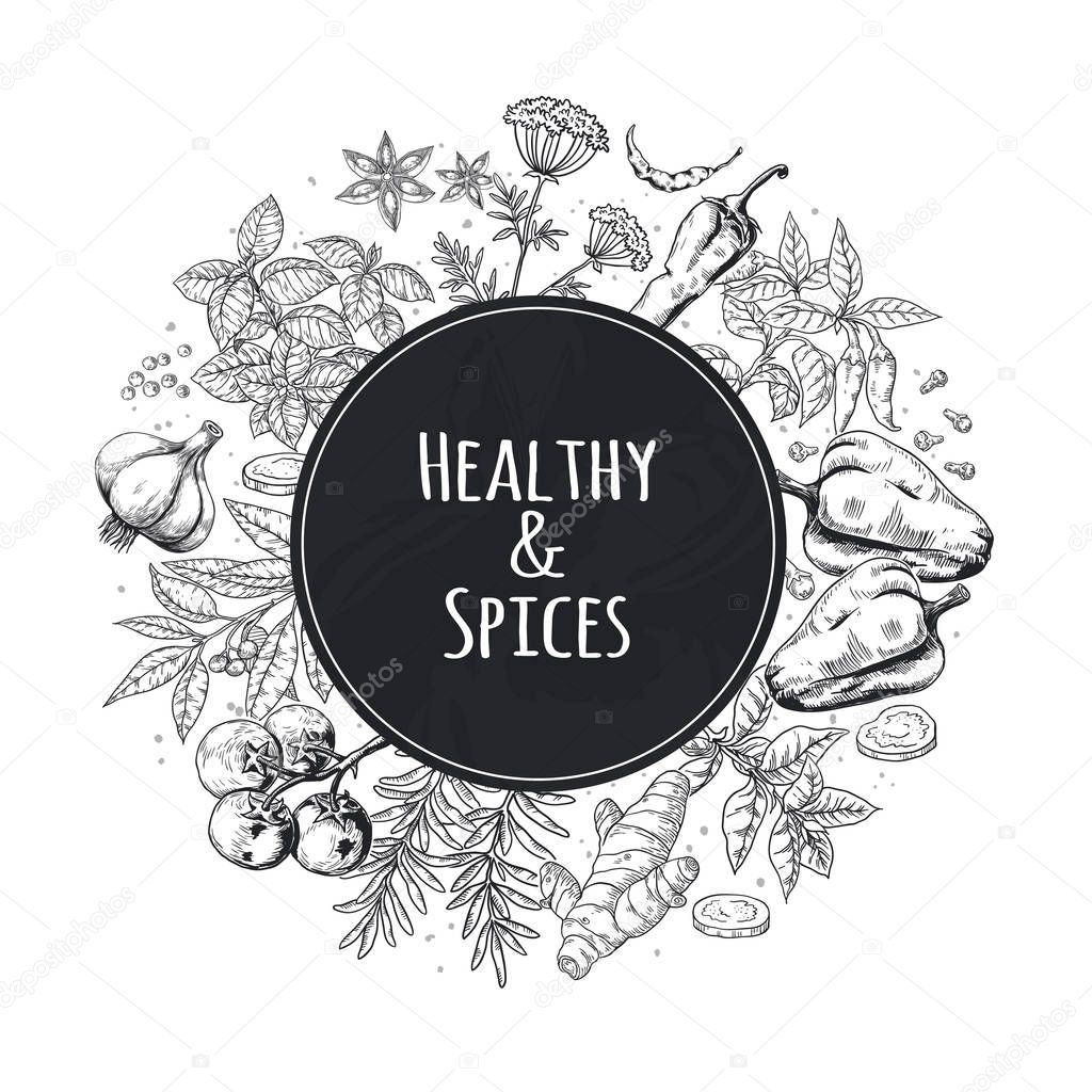 Hand drawn spices background. Asian and Indian food herbs and spices, gourmet menu sketch elements. Cooking vector poster