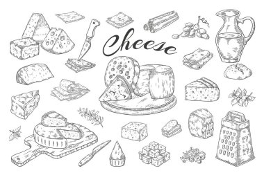 Peynir çizimi. El çizilmiş süt ürünleri, gurme gıda dilimleri, çedar Parmesan brie. Vektör kahvaltı vintage illüstrasyon