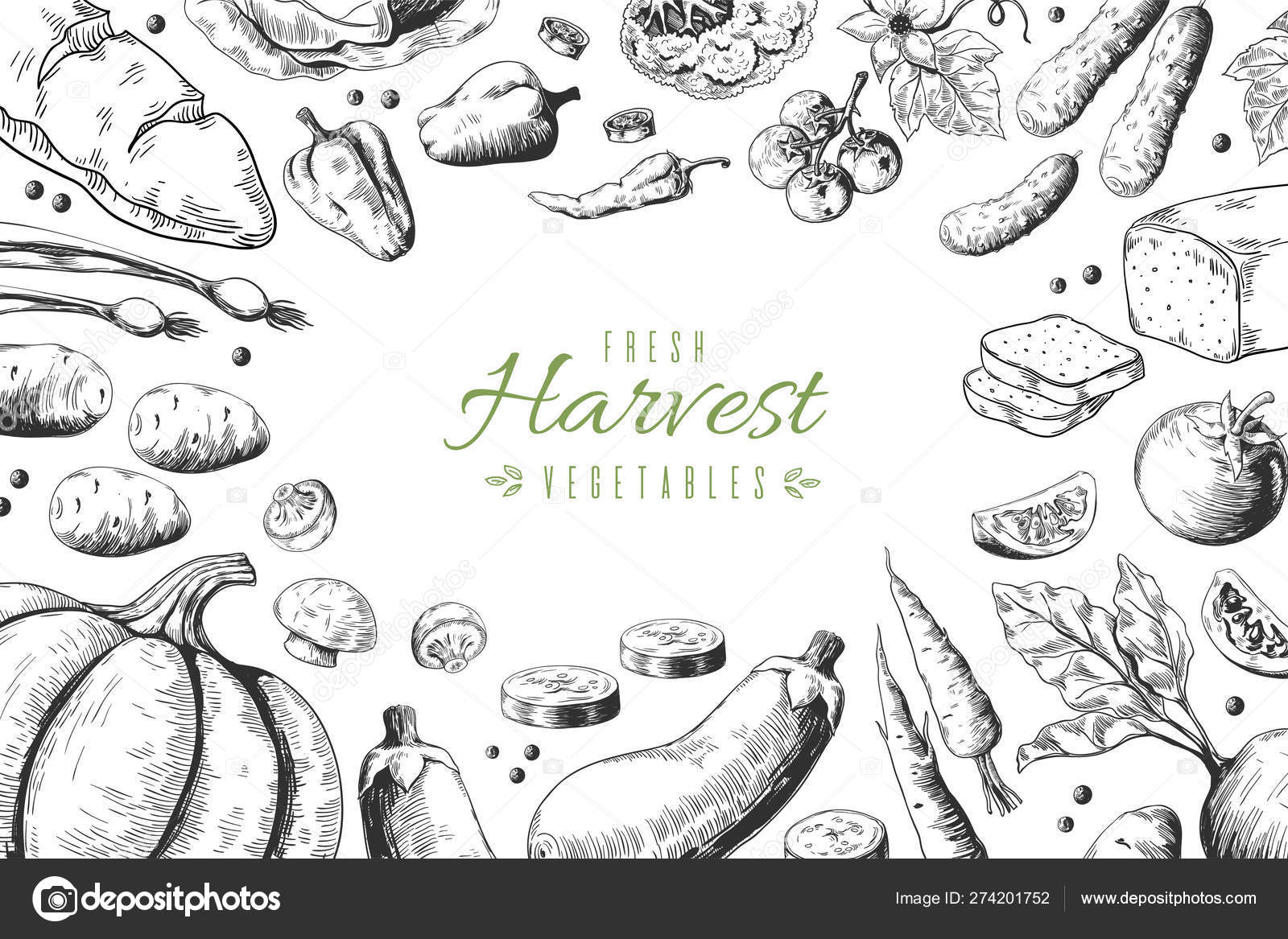 Hand Drawn Vegetables Background Organic Food Sketch Healthy