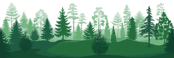 Bos silhouetten. Wilde natuurhouten achtergronden, groene dennenbomen sparren en sparren landschap. Vector Park achtergrond — Stockvector