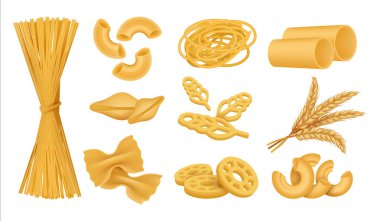 Gerçekçi makarna. İtalyan kuru buğday gıda, makarna erişte farfalle fusilli penne farklı türleri. Vektör 3d izole set