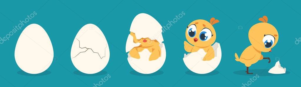 Hatching chicken. Cartoon baby chick birthday step-by-step process, cute flat poultry character. Vector illustration for kids