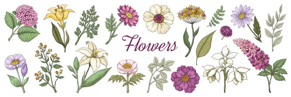 Handgezeichnete Blumen. Blumenstrauß, Gartenblumen-Set für Poster und Hochzeitskarten. Vektor Doodle Natur Sammlung — Stockvektor