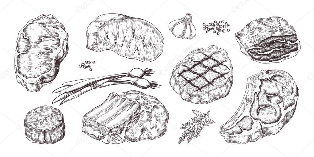 Steak. Vintage sketch with beef and pork chops ribs and fillet, butchery food products with garlic and pepper. Vector fillet set