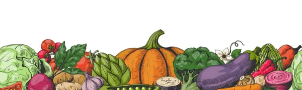 Modèle sans couture de bordure de légumes colorés dessinés à la main. Croquis alimentaire bordure avec espace pour le texte. Illustration vectorielle — Image vectorielle