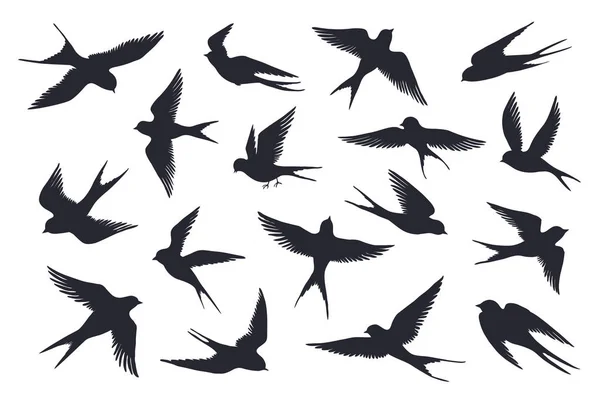 Silhouette d'oiseaux volants. Troupeau d'hirondelles, goélands marins ou oiseaux marins isolés sur fond blanc. Ensemble vectoriel de différentes étapes — Image vectorielle