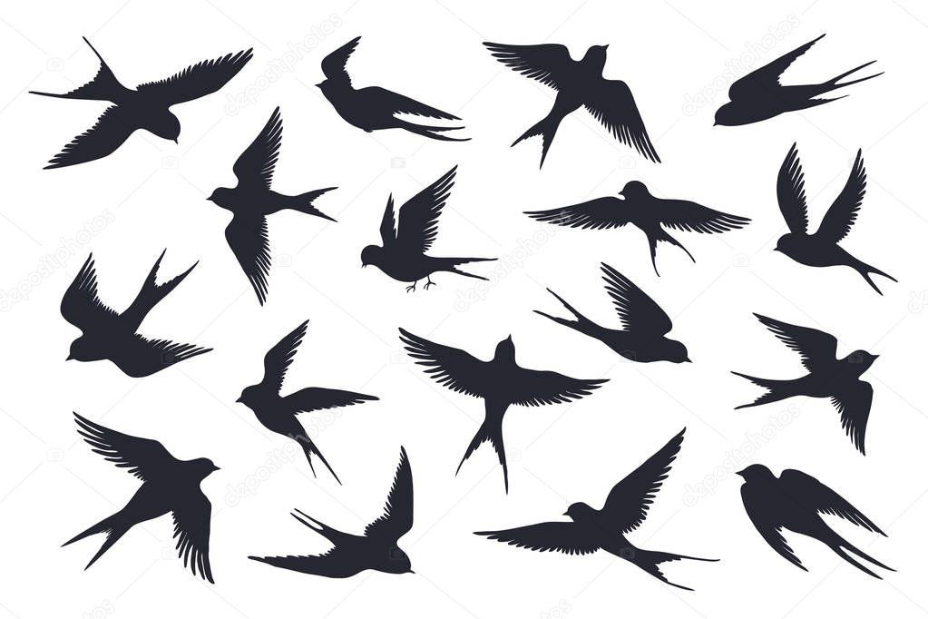 Flying birds silhouette. Flock of swallows, sea gull or marine birds isolated on white background. Vector set of different steps