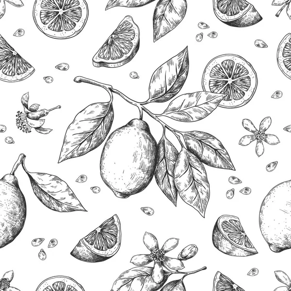 Modello di limone disegnato a mano. Texture vintage senza cuciture per etichetta succo, schizzo di inchiostro di agrumi. Vettore arancione limone lime frutta modello — Vettoriale Stock