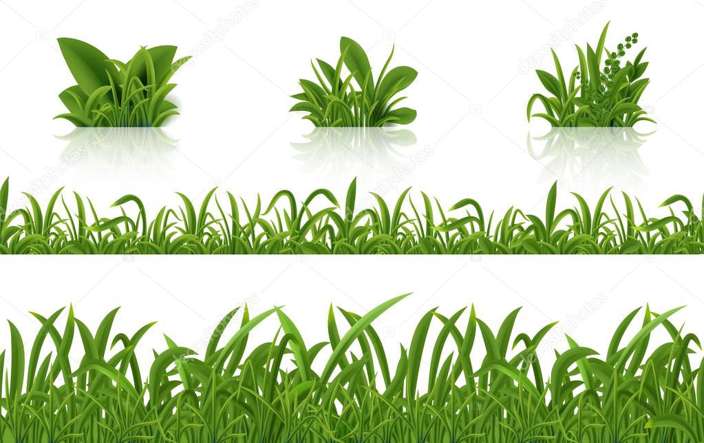 Realistic green grass. 3D fresh spring plants set. Vector isolated illustration bunch herbs on tussock